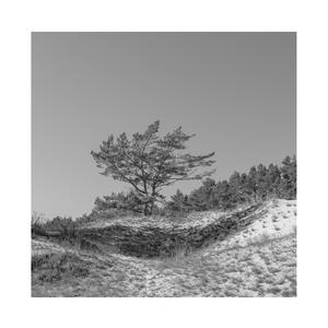 被操的淫语连连
